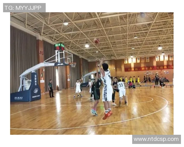 南京篮球队成长之路：从默默无闻到璀璨辉煌的奋斗历程